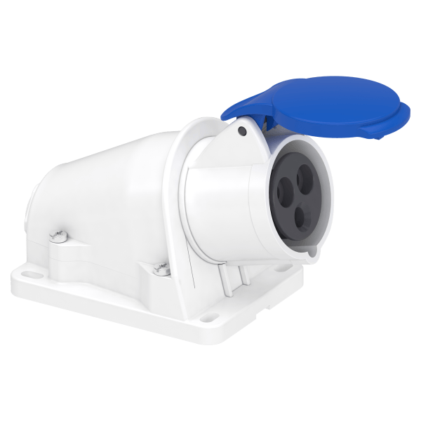 PratiKa socket - screw - angled - 16A - 2P + E - 200...250 V AC - wall Schneider Electric