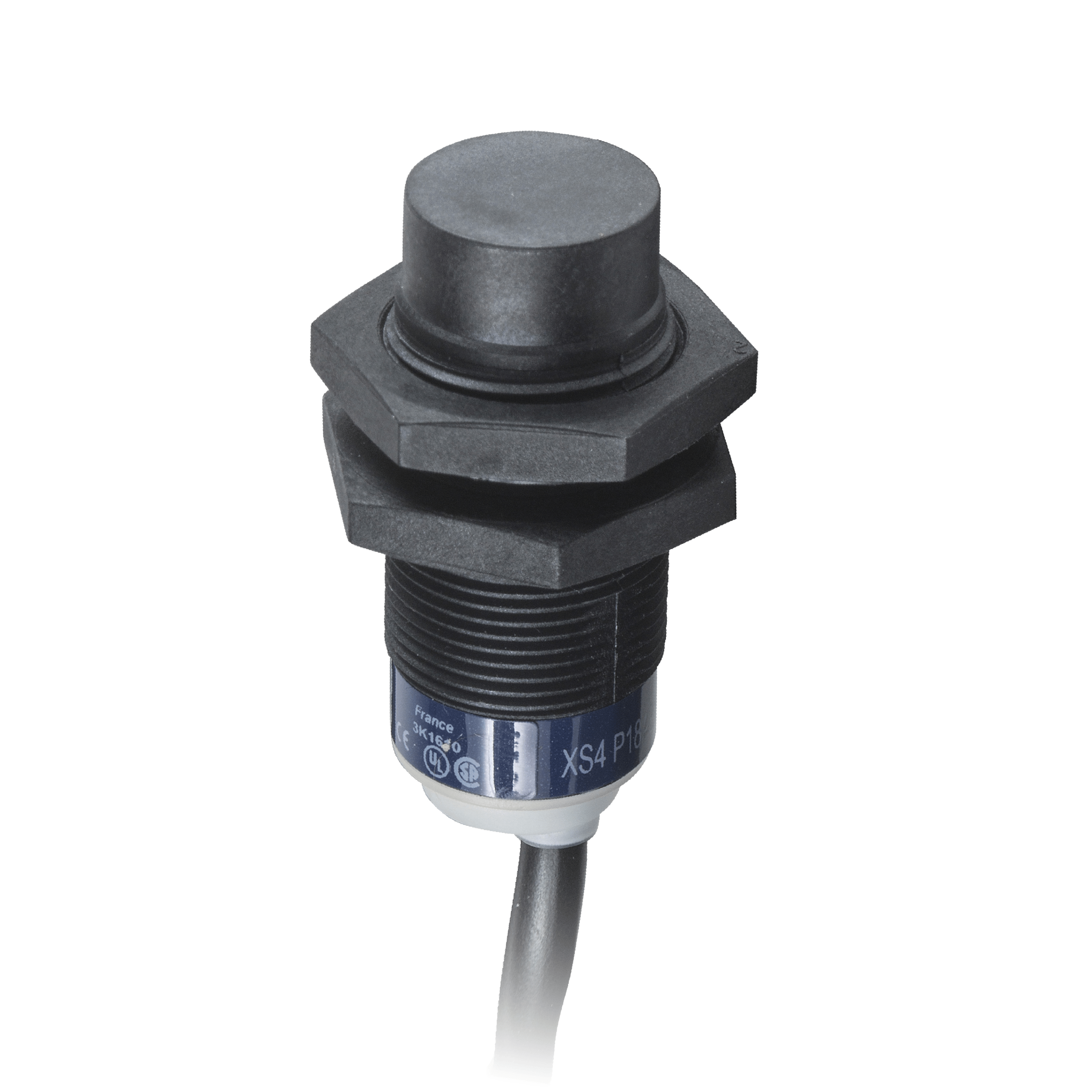 XS4P18AB120L2 - Inductive proximity sensors XS, inductive sensor XS4 M18, L40.6 mm, PBT, Sn8mm, 12...24 VDC, cable 10 m Telemecanique Sensors