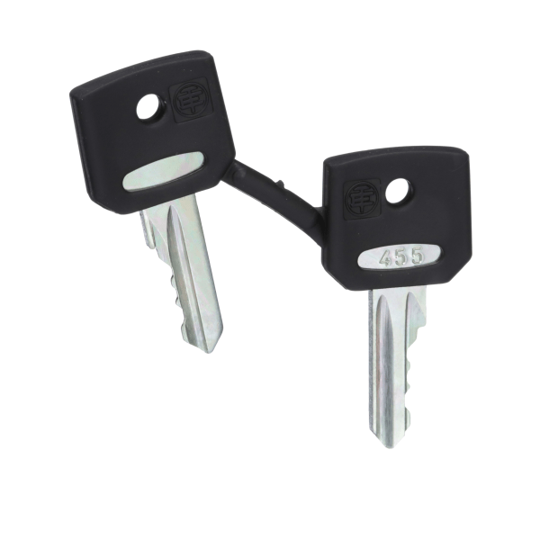 Harmony XB4, Set of 2 keys, Ronis 455