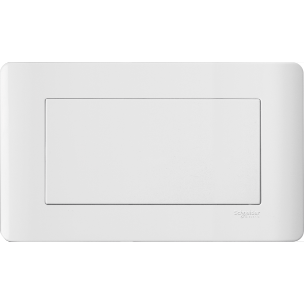E8430TX_WE — E8430TX_WE - TWIN GANG BLANK PLATE Schneider Electric