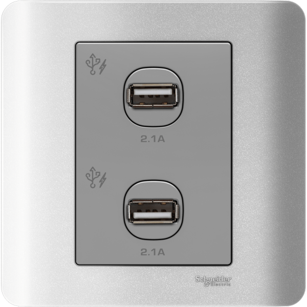 ZENcelo - 2 x 2.1A USB Charger - Silver Satin Schneider Electric