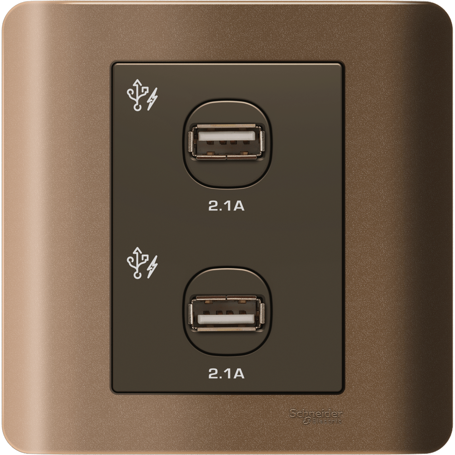 E8432USB_SZ - ZENcelo - 2 x 2.1A USB Charger - Silver Bronze Schneider Electric