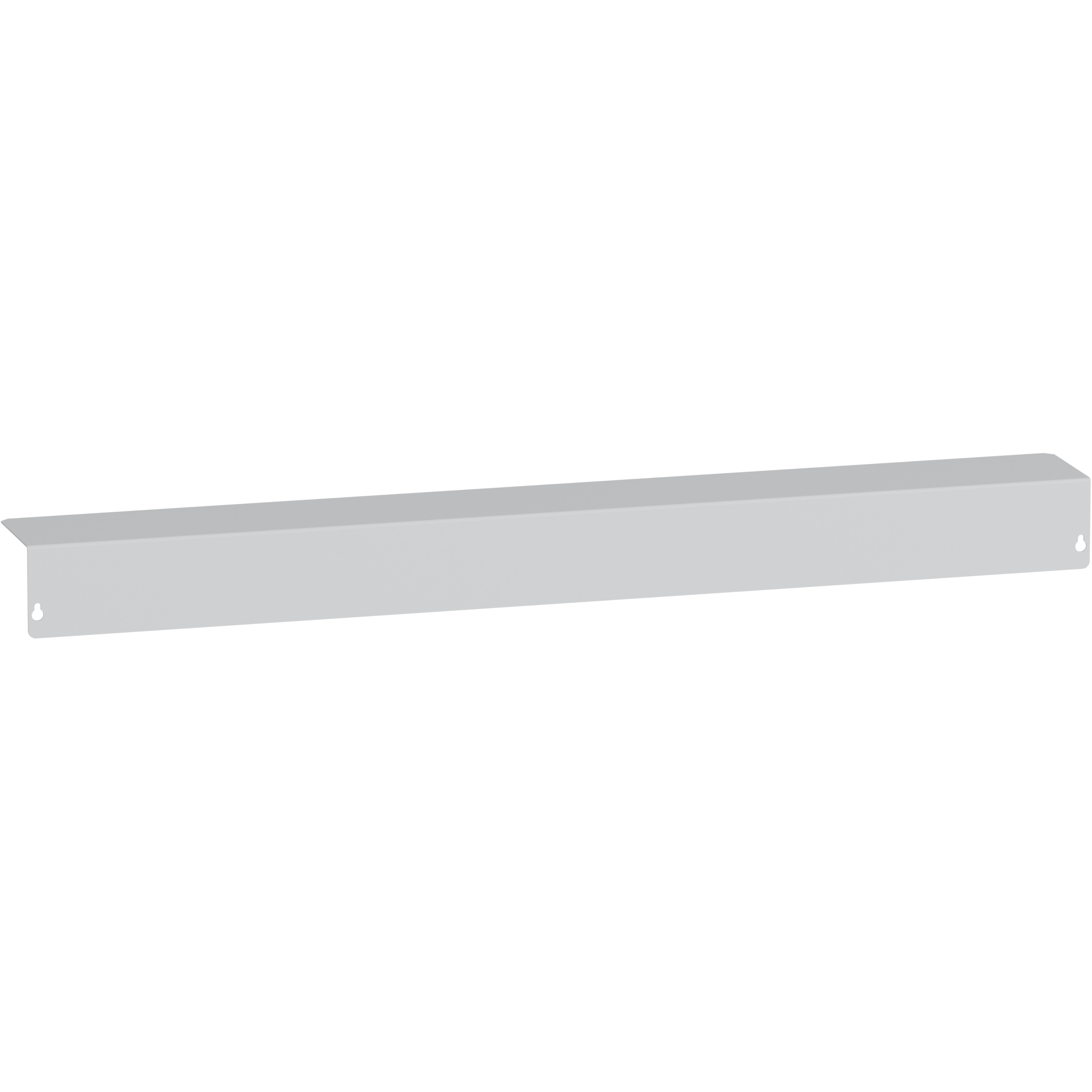LV848598 - Auxiliary terminal shield - for MTZ3 4000/6300A - 4P Schneider Electric