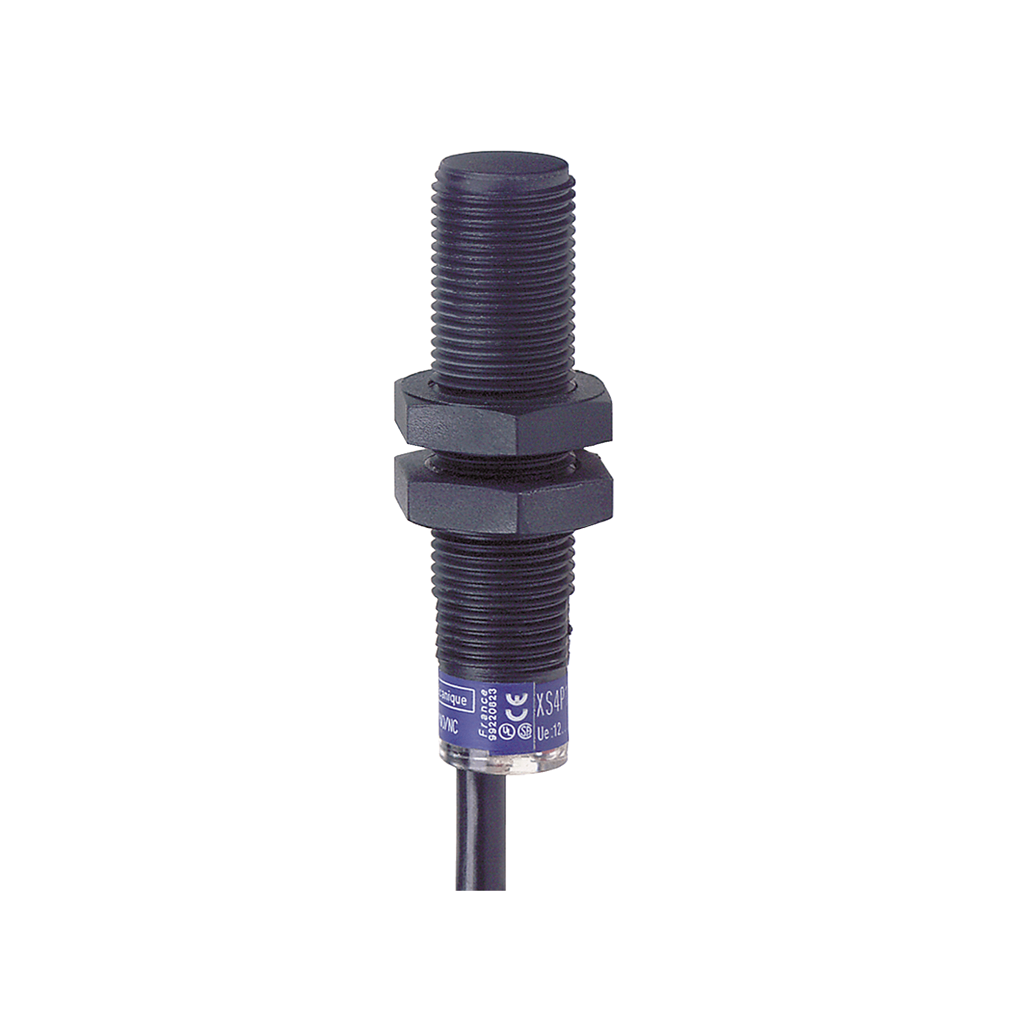 Inductive sensor XS4 M12, L52mm, PPS, Sn4mm, 24...240VAC/DC, cable 2 m Telemecanique Sensors
