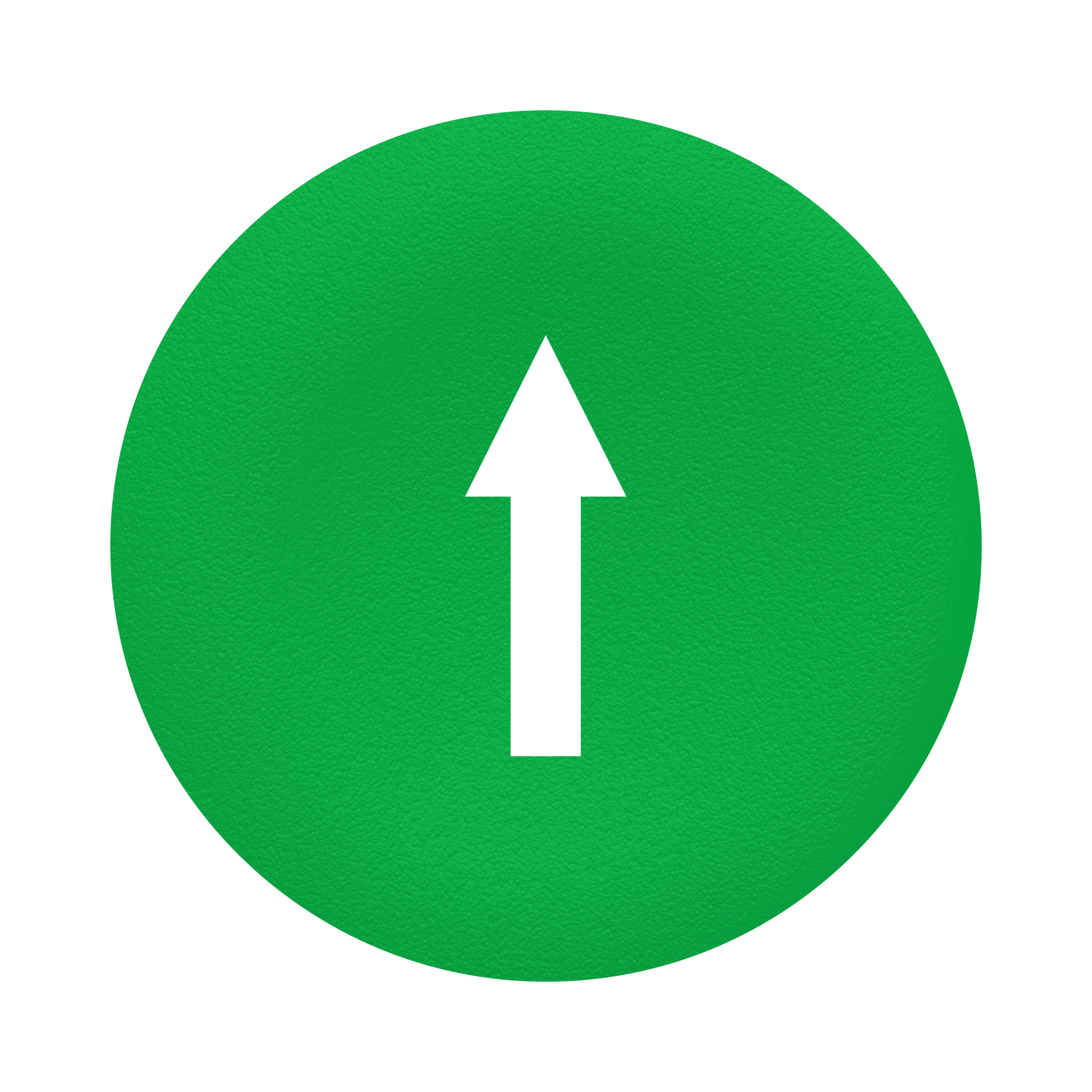 ZBA7335 – Green cap marked arrow for rectangular multiple-headed pushbutton Ø22 | Schneider Electric