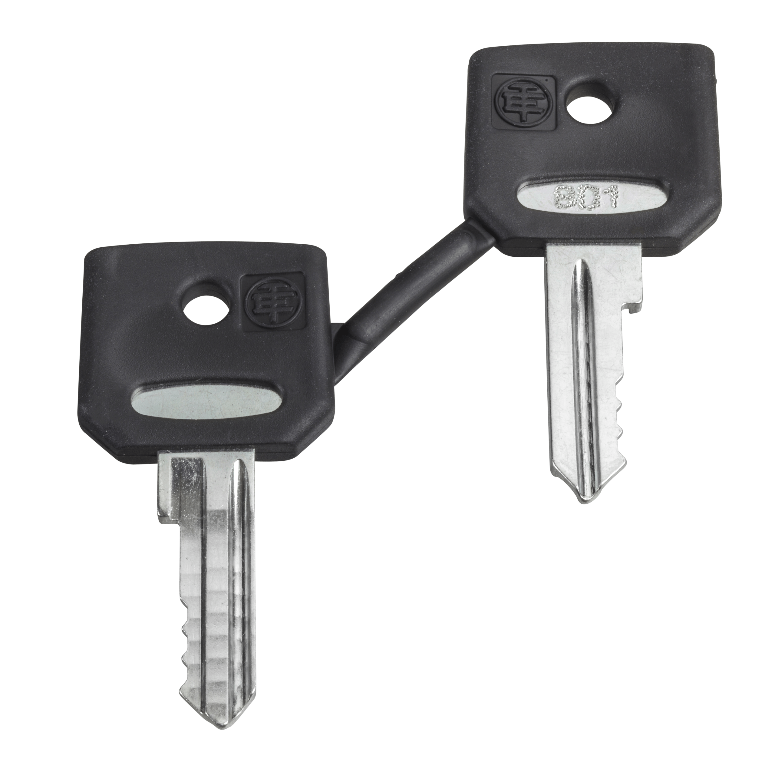 ZBG520E – Set of 2 keys 520E | Schneider Electric