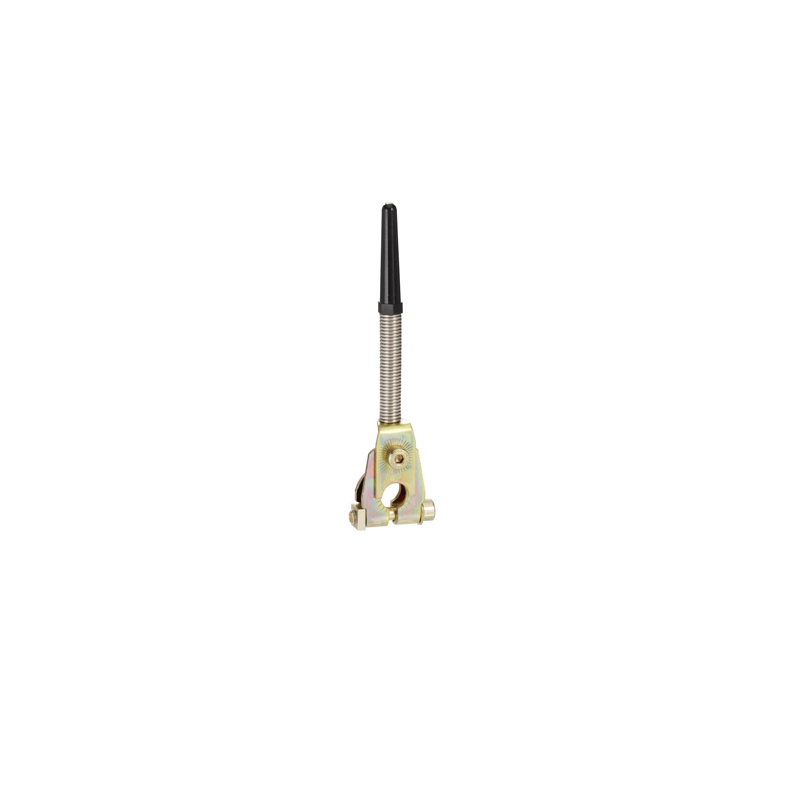 ZC2JY81 – Limit switch lever, Limit switches XC Standard, ZC2JY, spring with thermoplastic end, -40…70 °C | Telemecanique Sensors