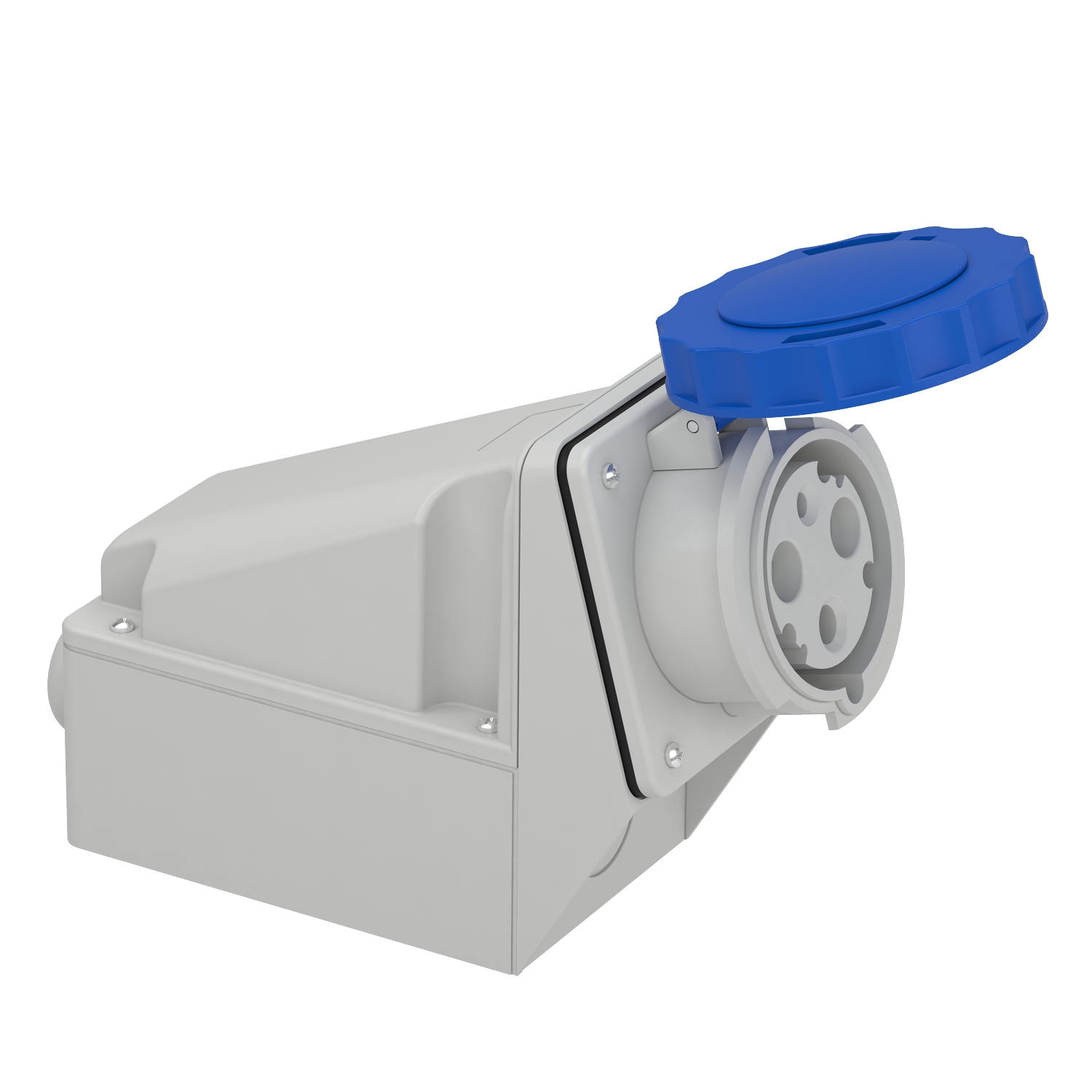 PratiKa industrial socket - 63 A - 2P + E - 200…250 V AC - IP67