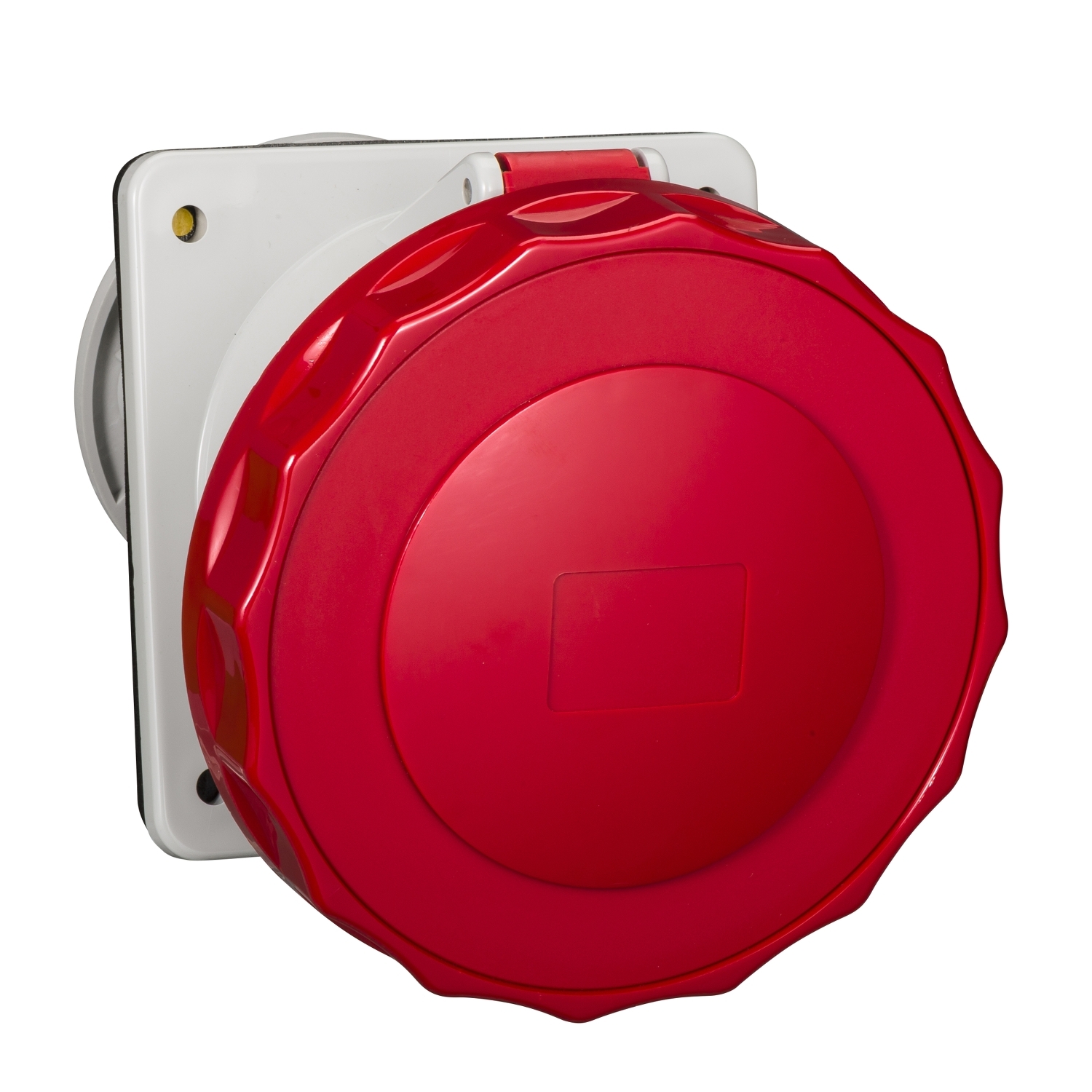 81497 – PratiKa wander socket - straight - 125 A - 3P + E - 480…500 V AC - IP67 | Schneider Electric